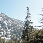 Mt Baldy