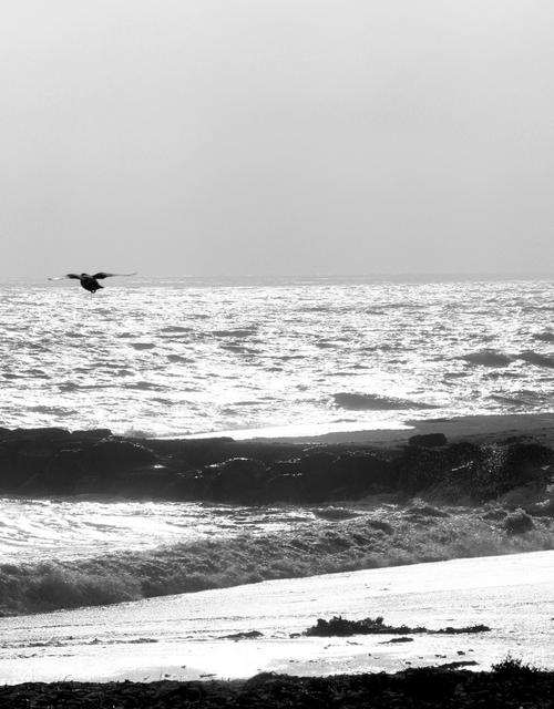 Ventura Beach at dusk