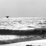 Ventura Beach at dusk